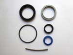 Seals Kit DS1299 ALA Outer Segment 50mm P4-2516